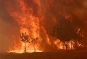 Οι πυρκαγιές στα χρόνια της κλιματικής κρίσης - Μελετώντας την πυρογεωγραφία