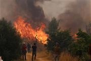 Σε πύρινο κλοιό οι περιοχές των Βιλίων: Αποκαρδιωτικές εικόνες και συνεχείς αναζωπυρώσεις - Live ενημέρωση