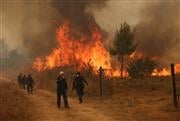 Ανεξέλεγκτη η φωτιά στα Βίλια: Αναζωπυρώσεις, φόβος για σπίτια κοντά στις φλόγες και τιτάνια μάχη - Live ενημέρωση
