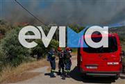Μεγάλη φωτιά τώρα στην Εύβοια: Καίγεται δάσος - Μήνυμα του 112