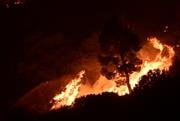 Φωτιά στη Βοιωτία: Τρία μεγάλα μέτωπα προς Πλαταιές, Πόρτο Γερμενό και Άγιο Νικόλαο - Χωριό φάντασμα ο Άγιος Βασίλειος