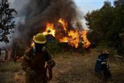 «Hot - Dry - Windy»: Σε Red Code Αττική, Αργολίδα, Λέσβος, Βοιωτία και Εύβοια - Ακραίος κίνδυνος πυρκαγιάς