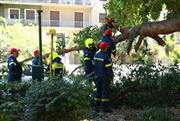Ακραίοι άνεμοι στην Αττική: Δέντρο καταπλάκωσε όχημα με οδηγό στη Μιχαλακοπούλου