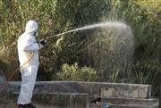 Ιός Δυτικού Νείλου: Έκτακτοι ψεκασμοί σε 10.000 στρέμματα στην Ανατολική Αττική - Μεγάλης κλίμακας νυχτερινή επιχείρηση