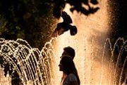 Συναγερμός για την «καυτή» Τετάρτη: 43άρια με ακραίο κίνδυνο πυρκαγιάς και υποχρεωτικό stop σε εργασίες