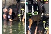 Viral η εντυπωσιακή διάσωση ελαφιού στην Ιταλία - Είχε παγιδευτεί σε κανάλι