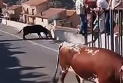 Τραγωδία στην Ισπανία: 64χρονη σκοτώθηκε από ταύρο σε ταυροδρομία - Σοκαριστικό βίντεο