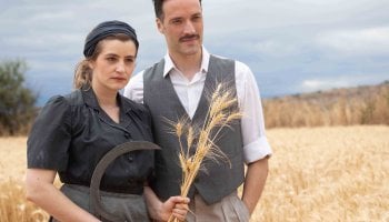 Άγριες μέλισσες