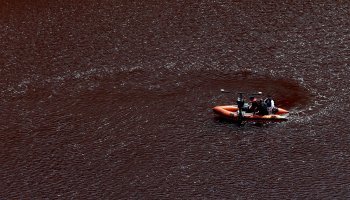 Κύπρος, Ορέστης