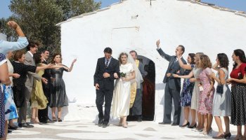 Άγριες μέλισσες