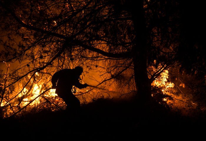 Φωτιά τώρα -Εύβοια: Στα Ψαχνά ο Κώστας Μπακογιάννης ...